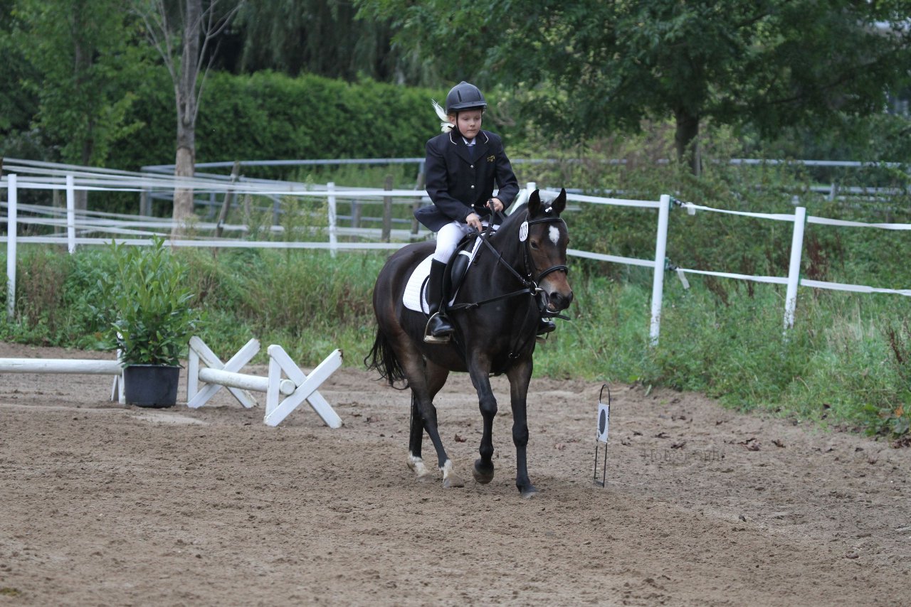 Bild 1041 - WBO-Turnier am 18.9.11